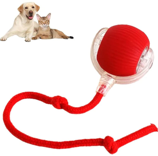 Smart Rolling Pet Ball